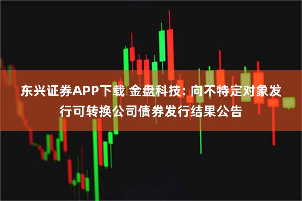 东兴证券APP下载 金盘科技: 向不特定对象发行可转换公司债券发行结果公告