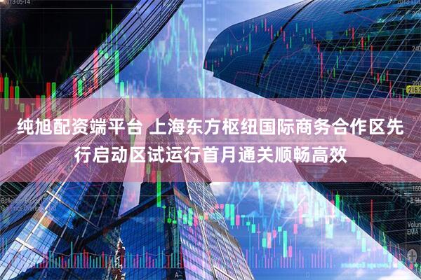 纯旭配资端平台 上海东方枢纽国际商务合作区先行启动区试运行首月通关顺畅高效